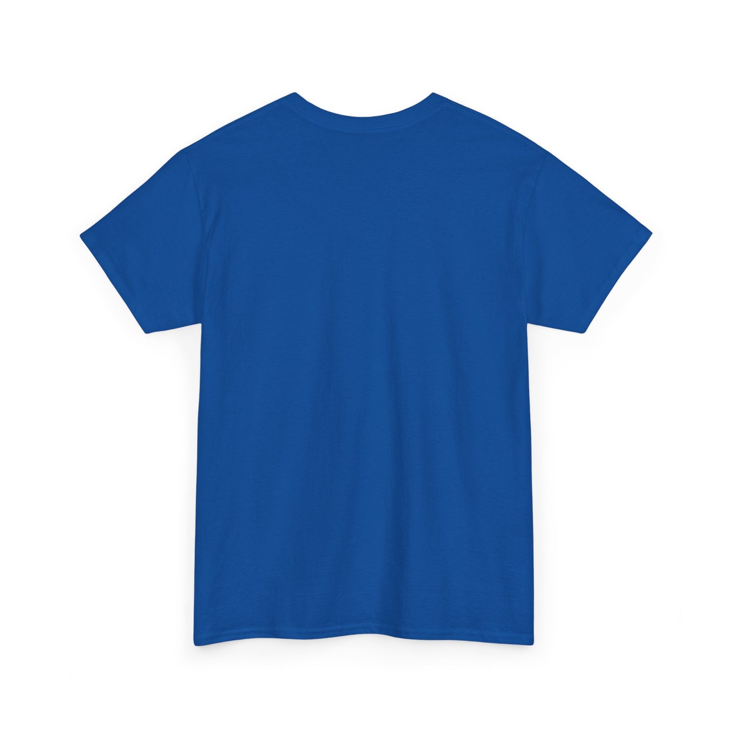 Unisex T-Shirt | Facts about India | Men's T-Shirt | Women's T-Shirt | Unisex Heavy Cotton Tee