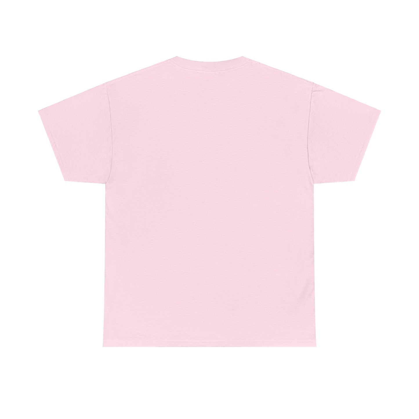 Unisex T-Shirt | Facts about India | Men's T-Shirt | Women's T-Shirt | Unisex Heavy Cotton Tee