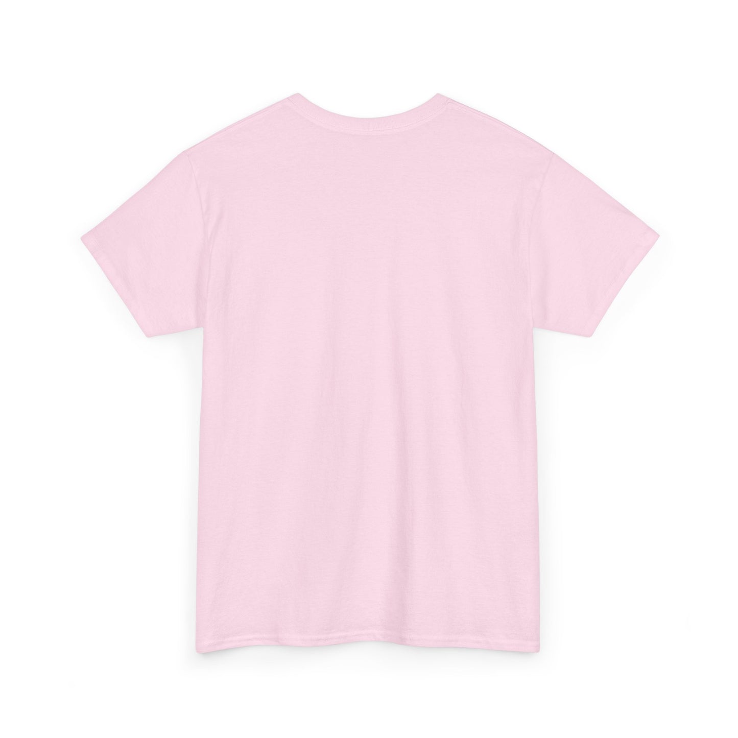 Unisex T-Shirt | Facts about India | Men's T-Shirt | Women's T-Shirt | Unisex Heavy Cotton Tee